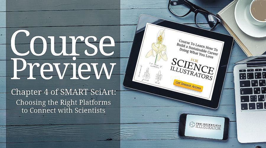 ScientificIllustratorCourse1